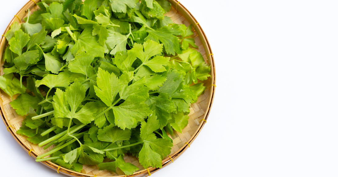 chinese celery on a plate