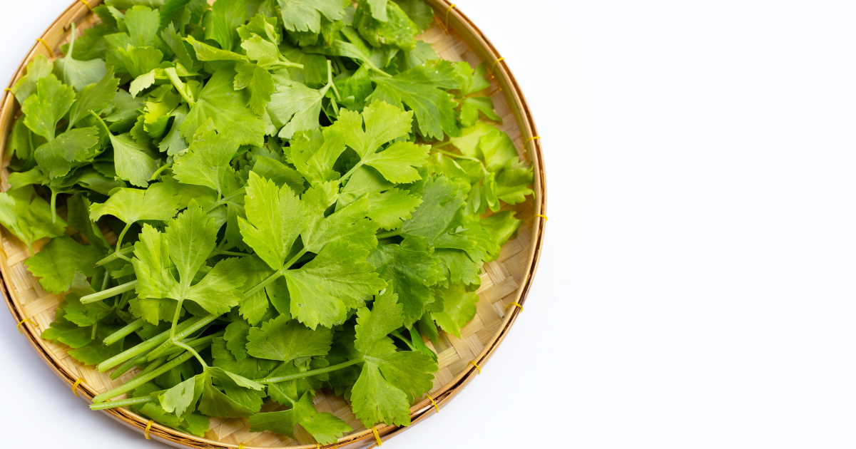 chinese celery on a plate