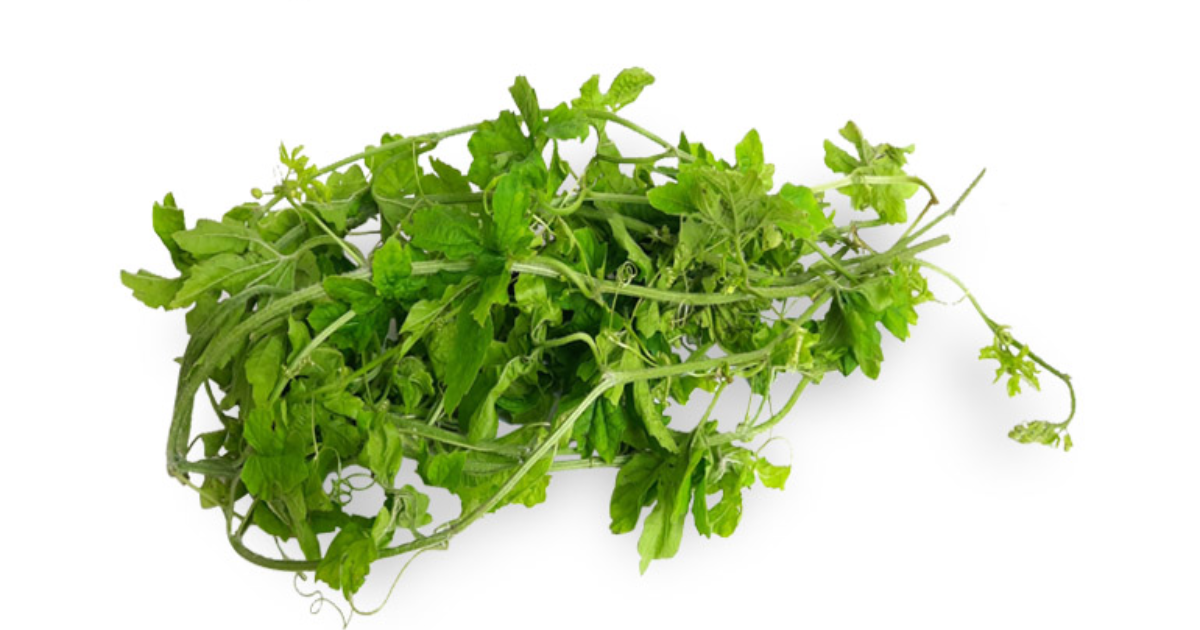 The Bitter Leaf with Incredible Health Benefits