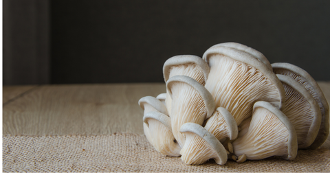 8 Health Benefits of Oyster Mushrooms