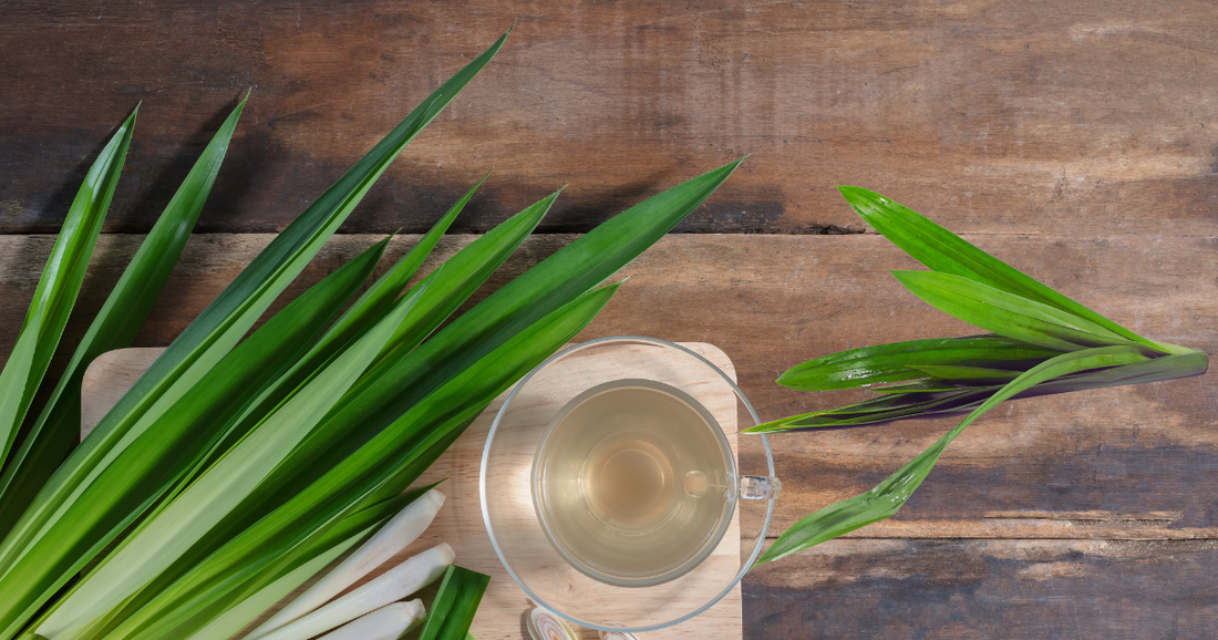 Exploring Pandan: Uses, Benefits, and Cooking Tips