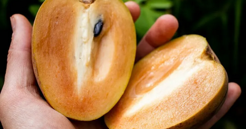 Chico Fruit: 5 Benefits For Your Health