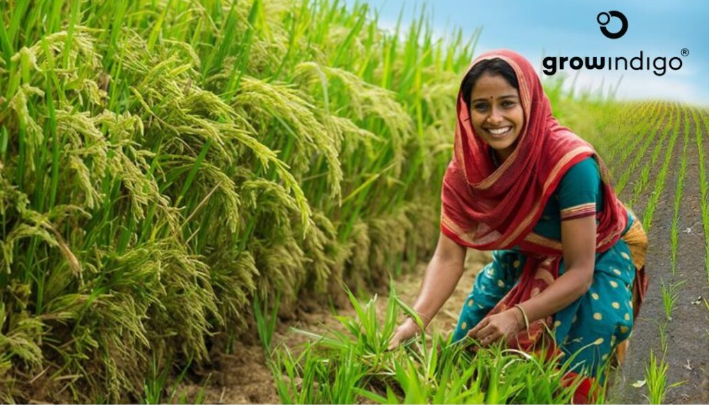 Grow Indigo Pays 2,550 Farmers for Carbon Credits