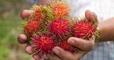 How To Eat Rambutan Fruit And What Are Its Health Benefits