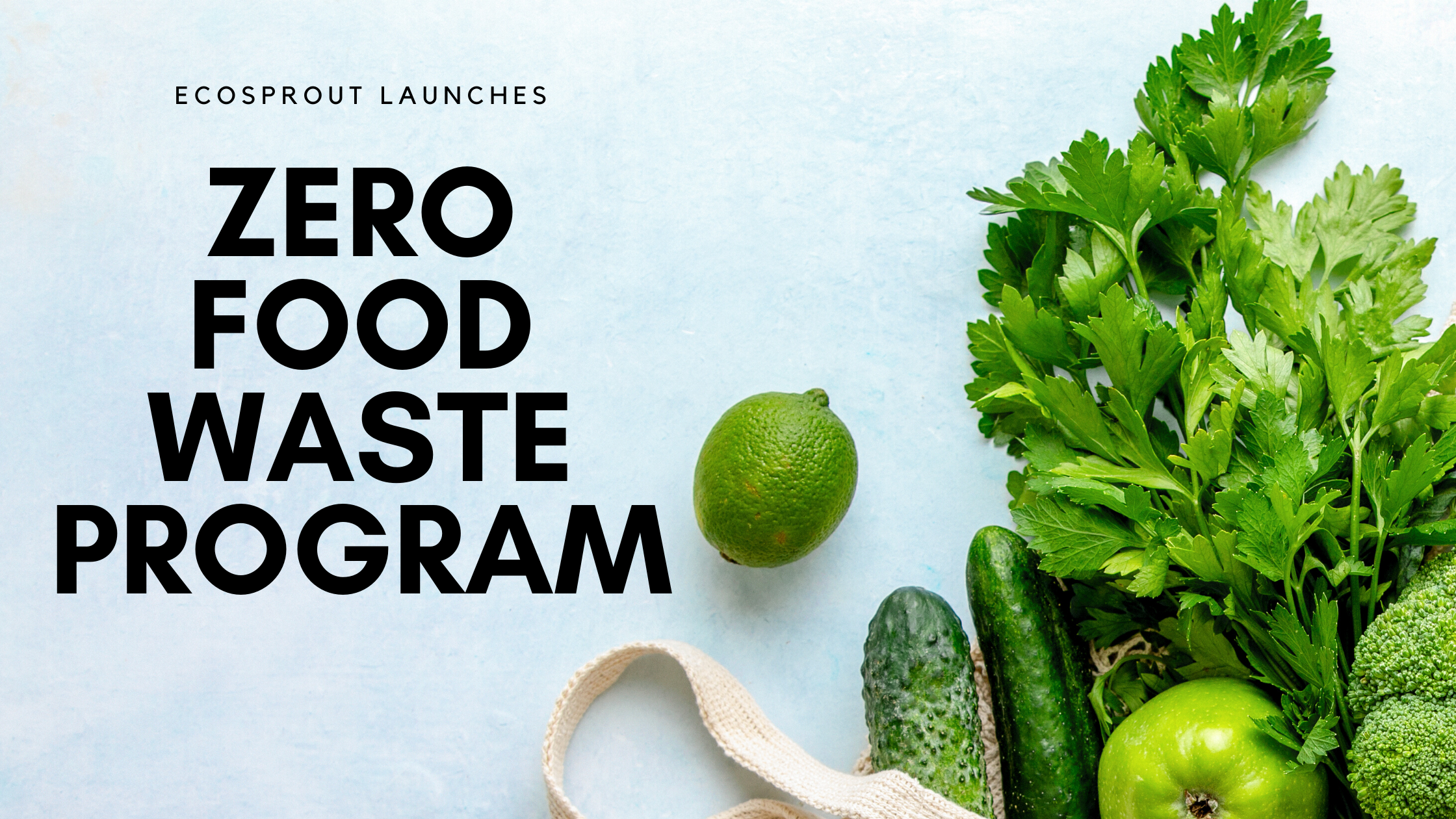 Ecosprout launches Zero Food Waste program, seeks out partner organizations