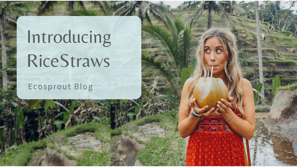 Introducing RiceStraws
