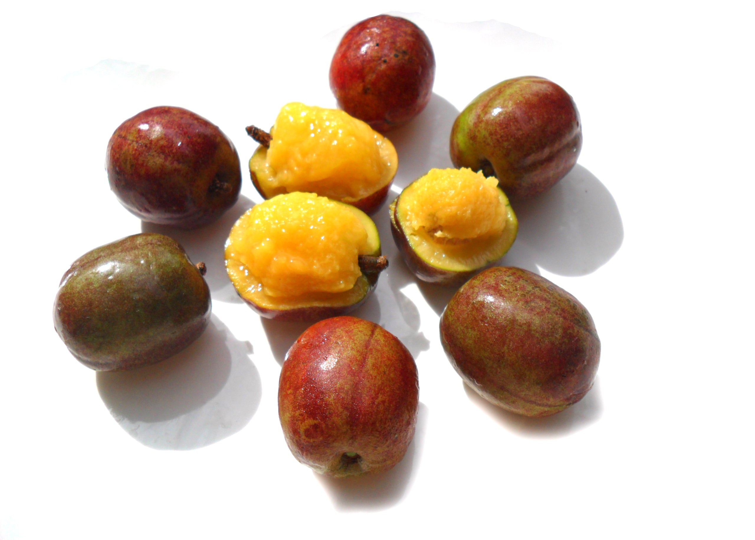 sineguelas or spanish plum