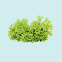 Fresh Greens