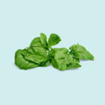 Fresh Herbs
