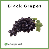 Black grapes for delivery near me