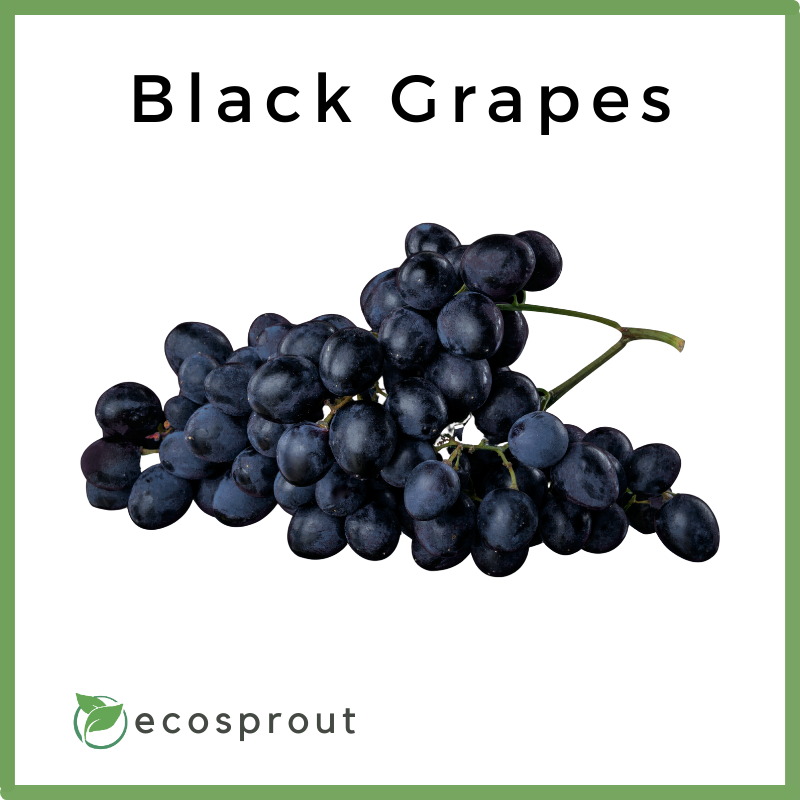 Black Grapes close up
