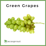 Green grapes closeup photo