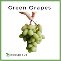 Green Grapes near me
