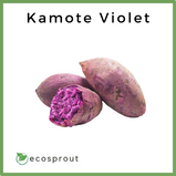 Sweet Potato | Kamote | Orange | Purple | Yellow | 1kg - 500g