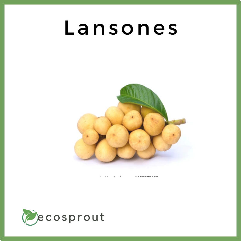 Lansones | 1kg