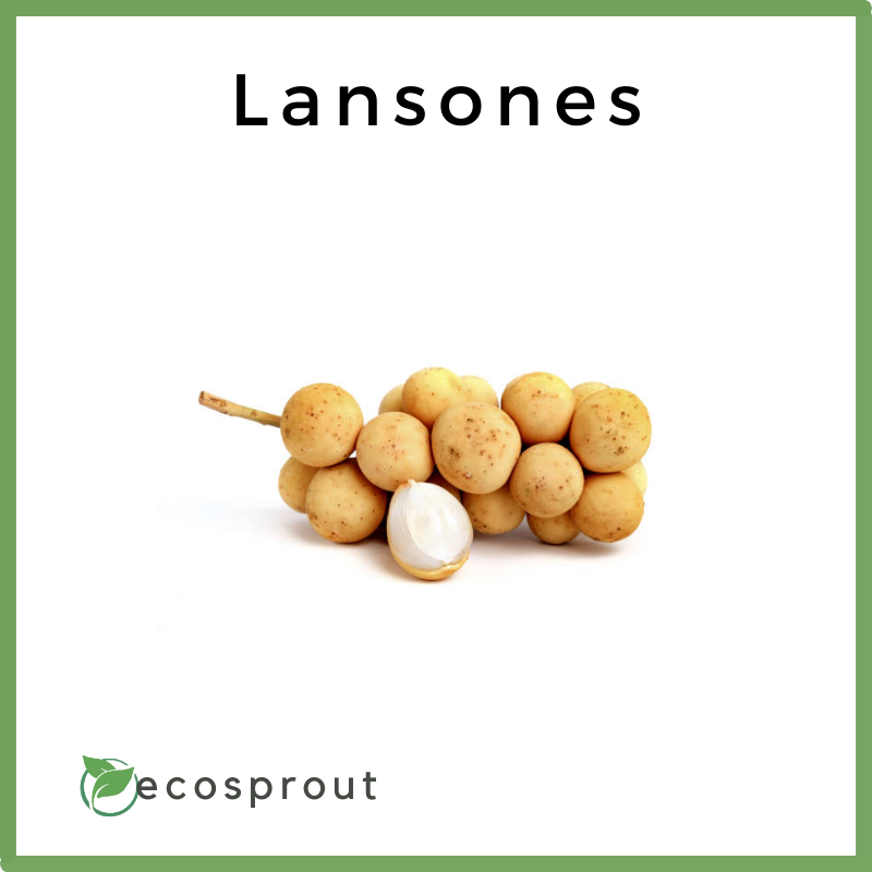 lansones for delivery