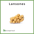 Lansones | 1kg