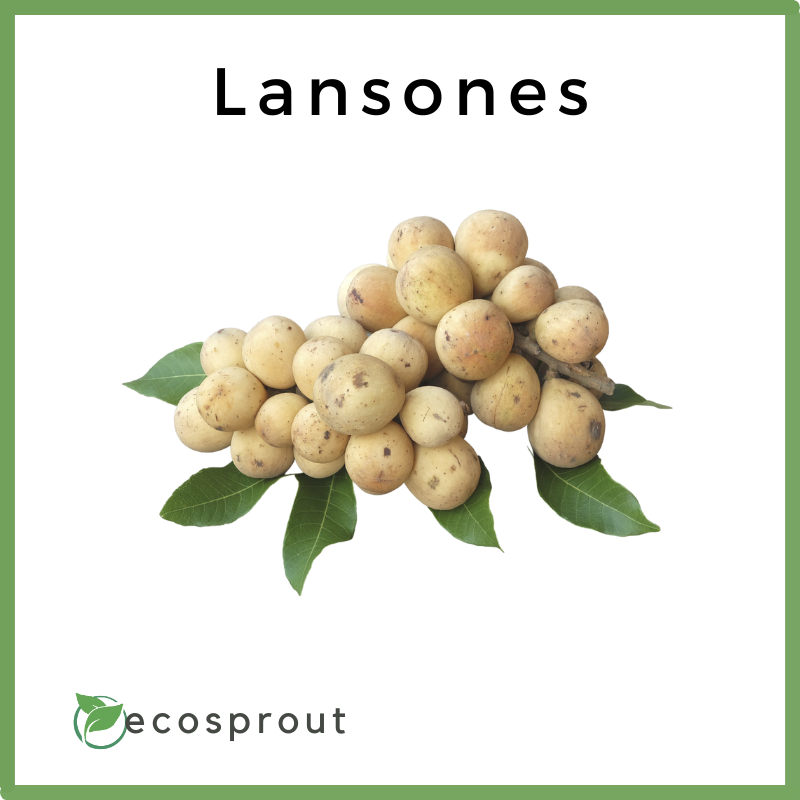 lansones for delivery