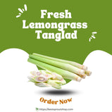 FreshLemongrassTanglad