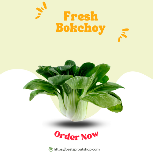 Fresh_Bokchoy