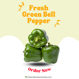 Fresh_Green_Bell_Pepper_Product_Image