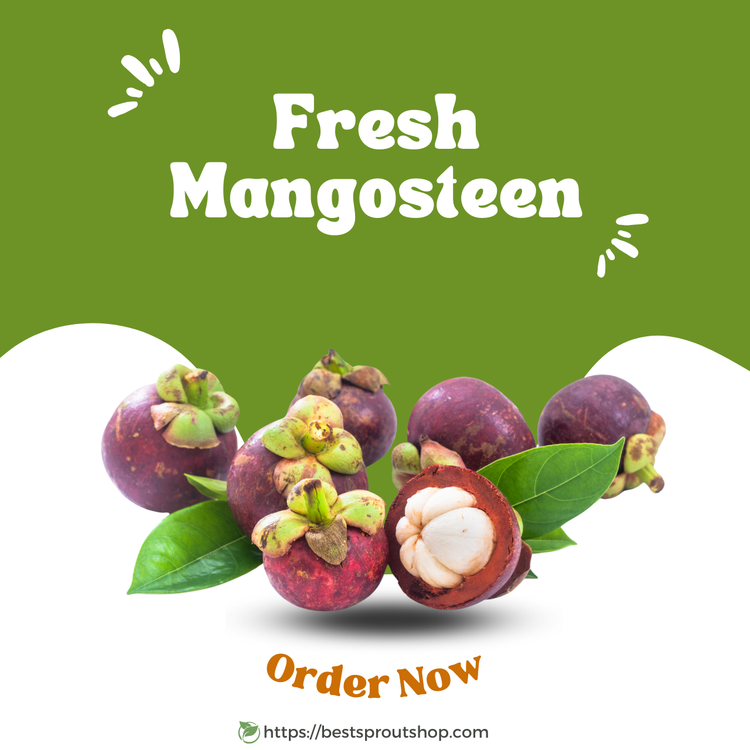 Fresh_Mangosteen