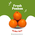 Ponkan Product Image