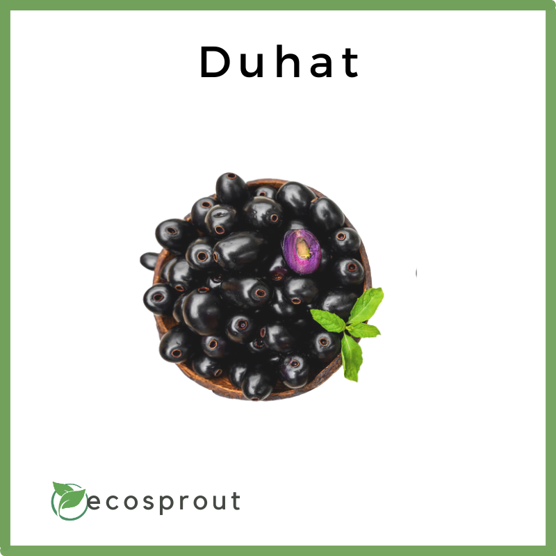 Duhat (Java Plum) | From 250g - 1KG