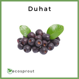 Duhat (Java Plum) | From 250g - 1KG