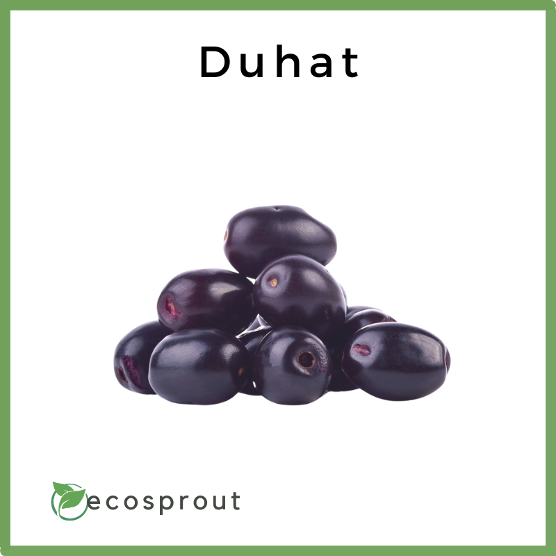 Duhat (Java Plum) | From 250g - 1KG