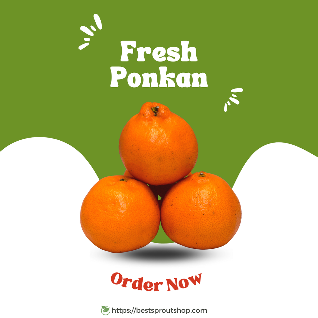Fresh Ponkan for Delivery