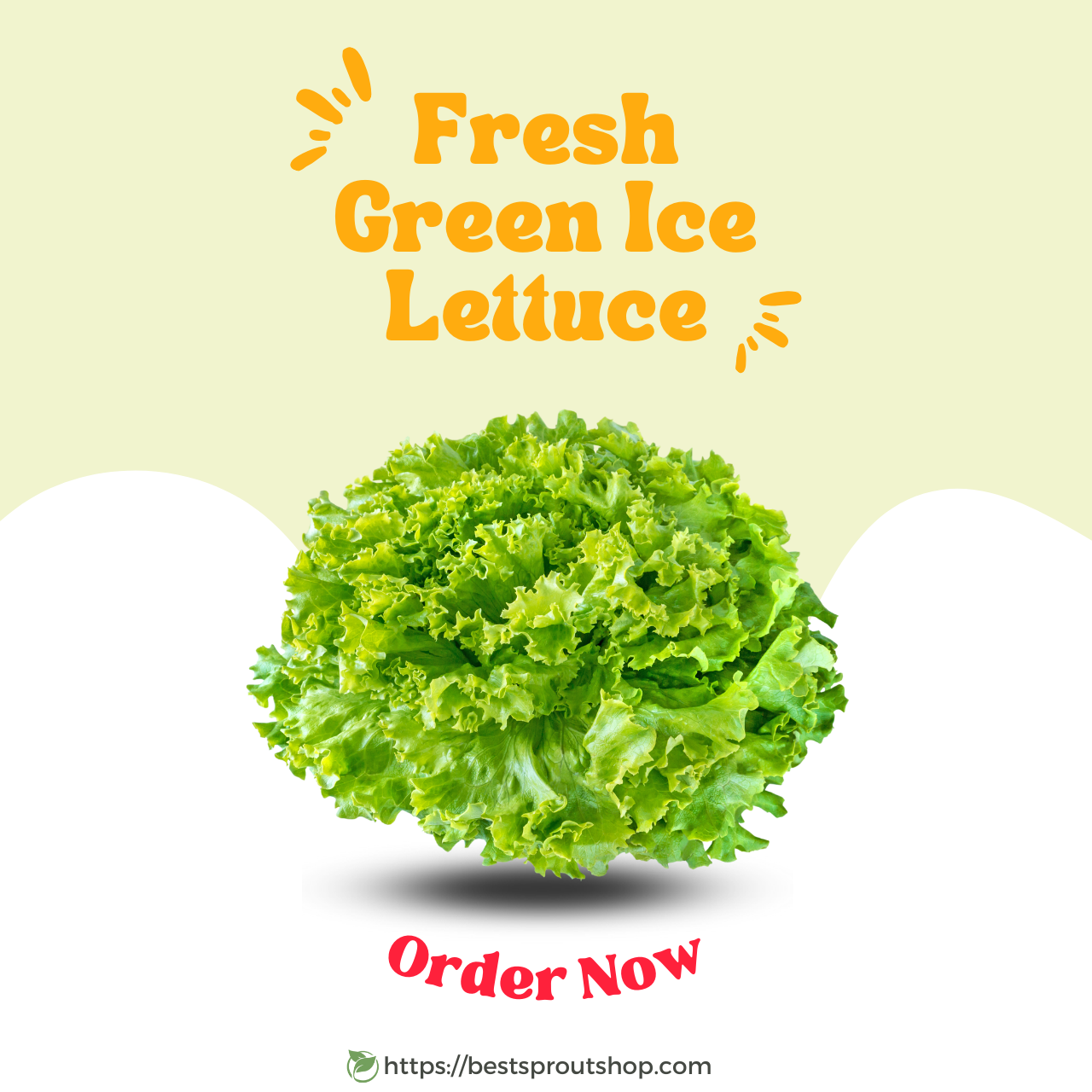 Green Ice LettuceProduct Video

