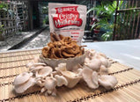 crispy mushroom product ecosprout