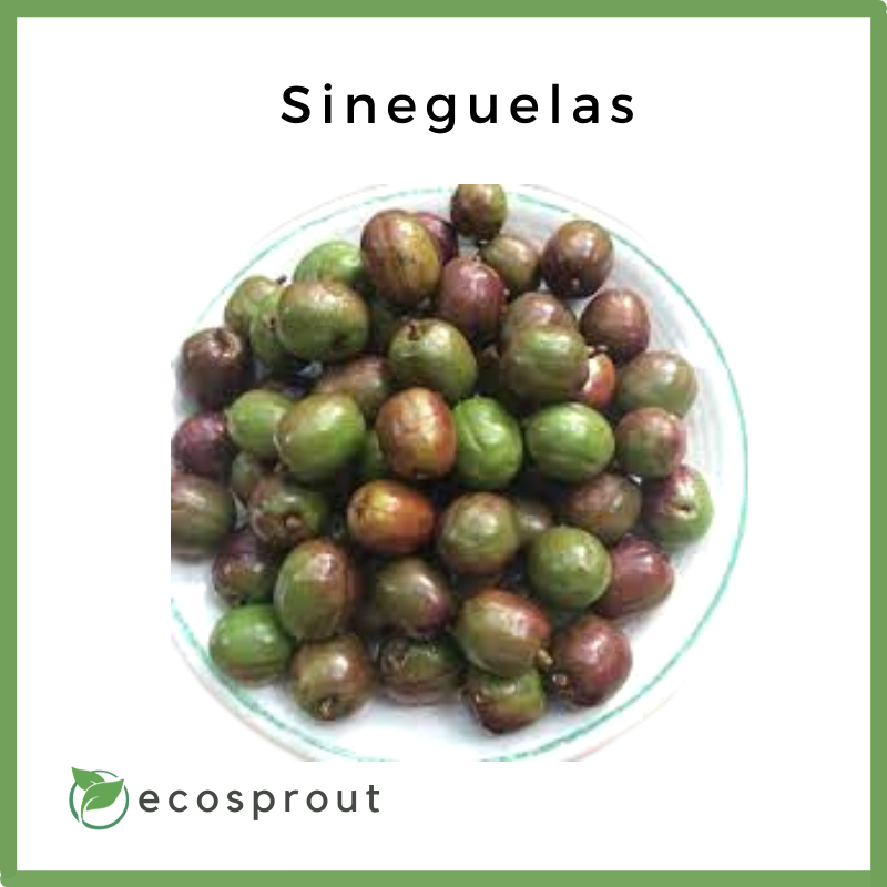 Sineguelas | Spanish Plum | From 500g