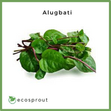 Alugbati | Malabar Spinach | 100g