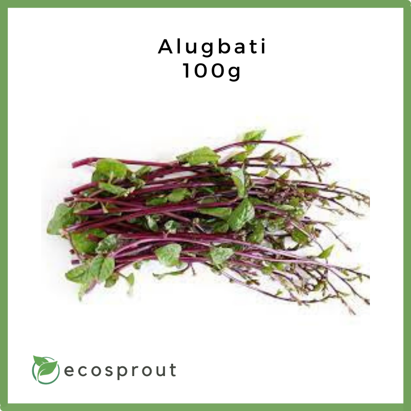 Alugbati | Malabar Spinach | 100g