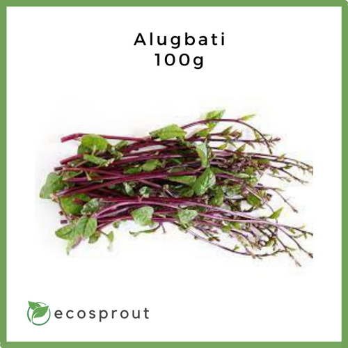 Alugbati | Malabar Spinach | 100g