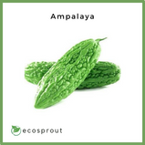 Ampalaya | Bitter Gourd From 250g