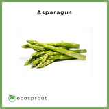 Asparagus | 500g