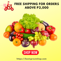 Fruit In Season Freebie