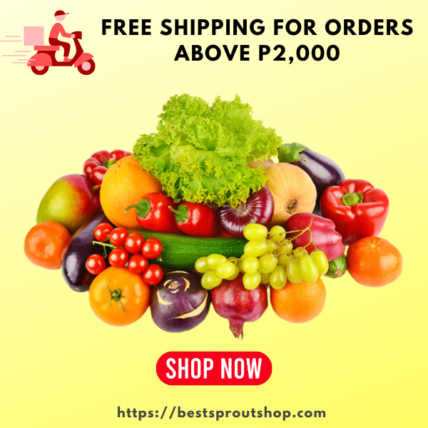 Fruit In Season Freebie