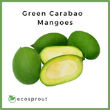 Green Carabao Mangoes | KG