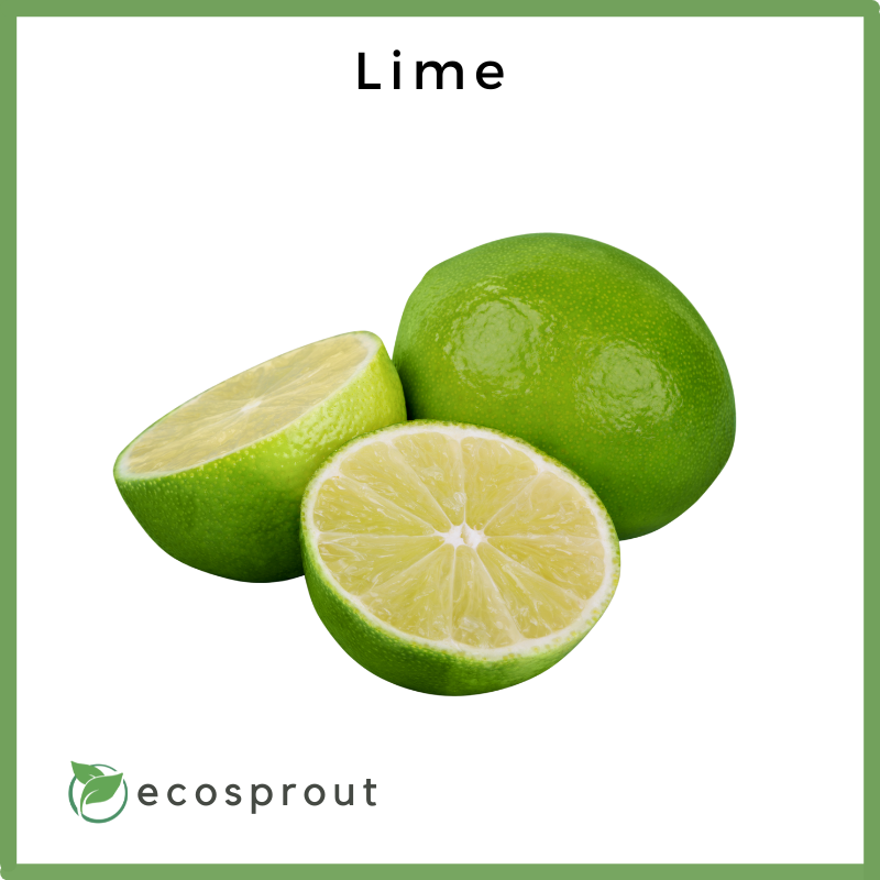 Lime | Per Piece | Per KG