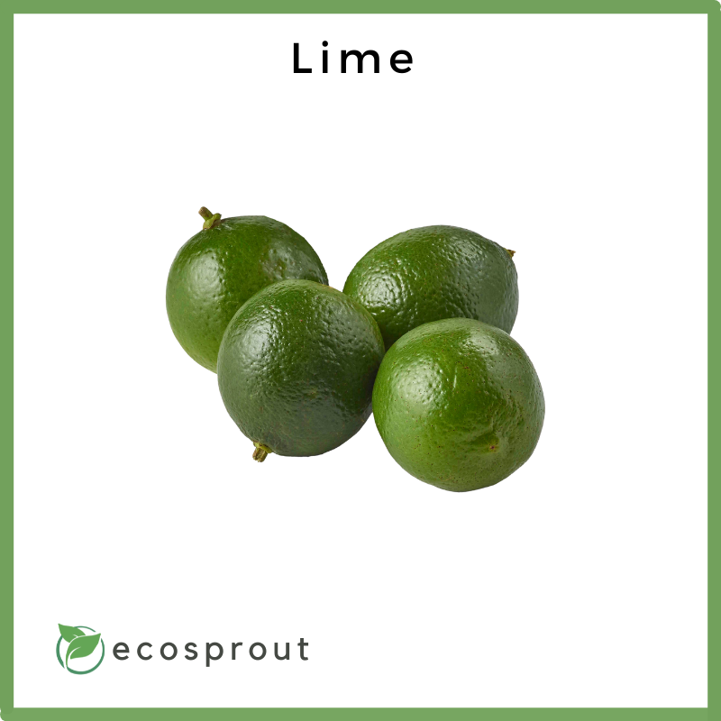 Lime | Per Piece | Per KG