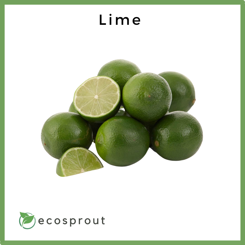 Lime | Per Piece | Per KG