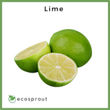 Lime | Per Piece | Per KG