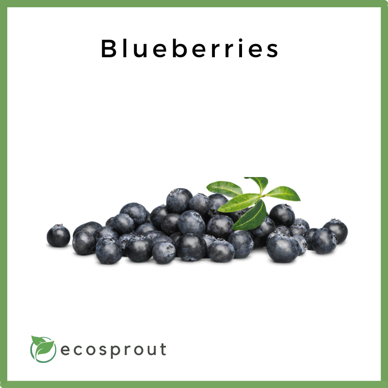 Blueberries | Per Pack