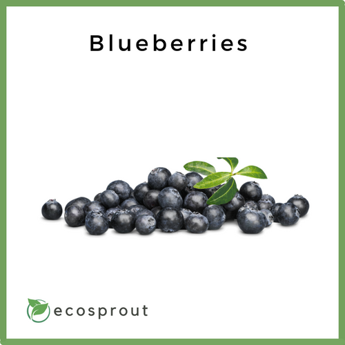 Blueberries | Per Pack