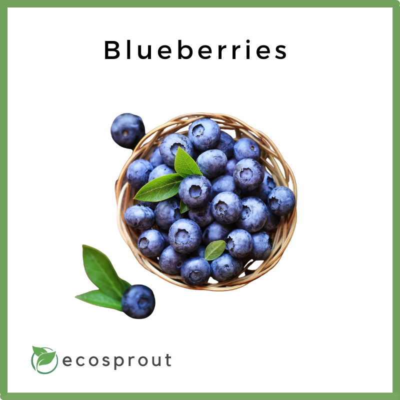 Blueberries | Per Pack