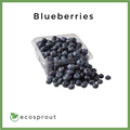 Blueberries | Per Pack